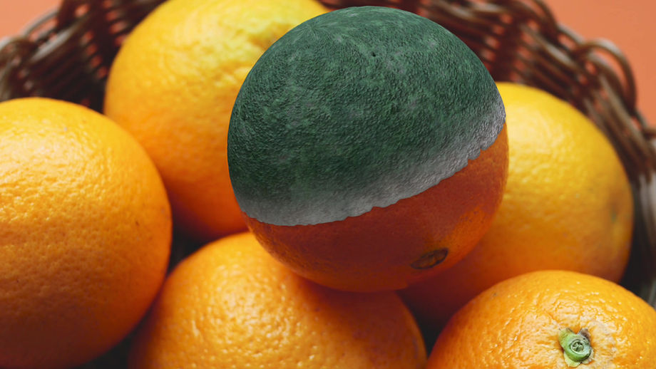 Mould Growth on Orange